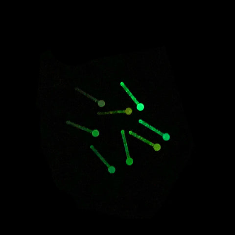 8Pcs/set Acrylic Nose Stud Glow in Dark Nose Piercing Ring L Shape Nostril Jewelry 20G Nostril Earrings Body Piercing Jewelry