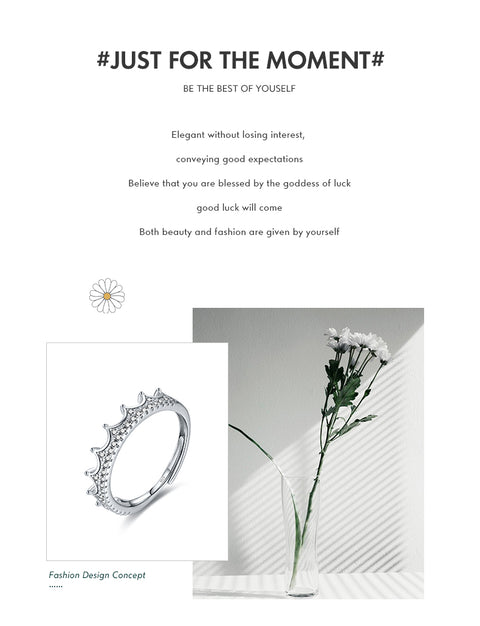 elegant crown sterling silver inlay zircon rhodium plated rings