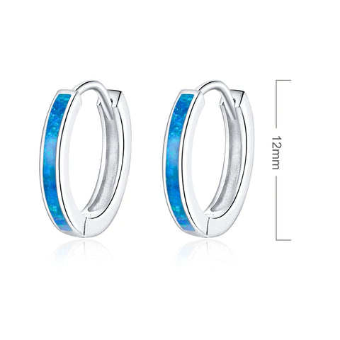 bamoer 925 Sterling Silver CZ Simple Female Hoop Earrings Jewelry for Women Sterling Silver Jewelry PAS456